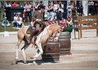 Pferd International 132